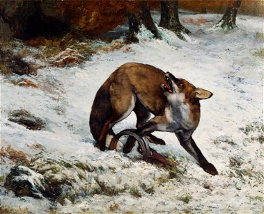 Courbet Fox Caught in a Trap. Free illustration for personal and commercial use.