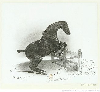 Courtin - Cheval franchissant une barrière (Copie d'après le seul état connu de la lithographie originale de Géricault), btv1b100288093