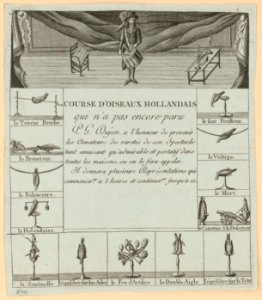 Course d'oiseaux hollandais qui n'a pas encore paru P.G. Dujon ... LCCN2012645532
