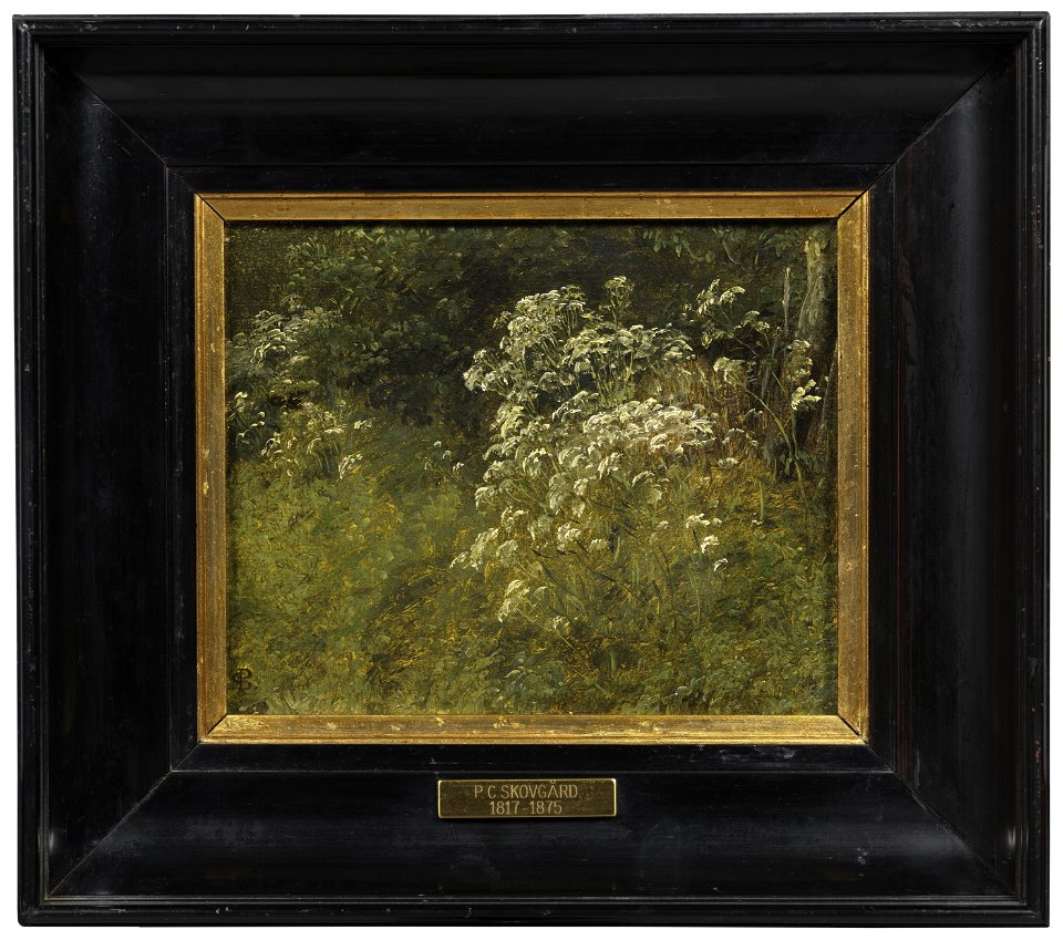 Cow Parsley. Study (Peter Christian Skovgaard) - Nationalmuseum - 212130