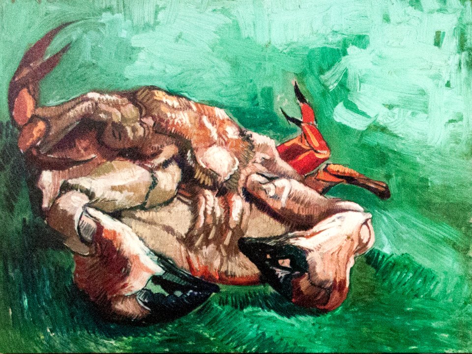 Crab on its Back - My Dream