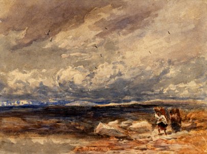 David Cox (I) - On Carrington Moss, Cheshire (1851)