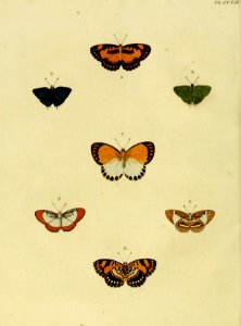 CramerAndStoll-uitlandsche kapellen vol. 3- pl 213