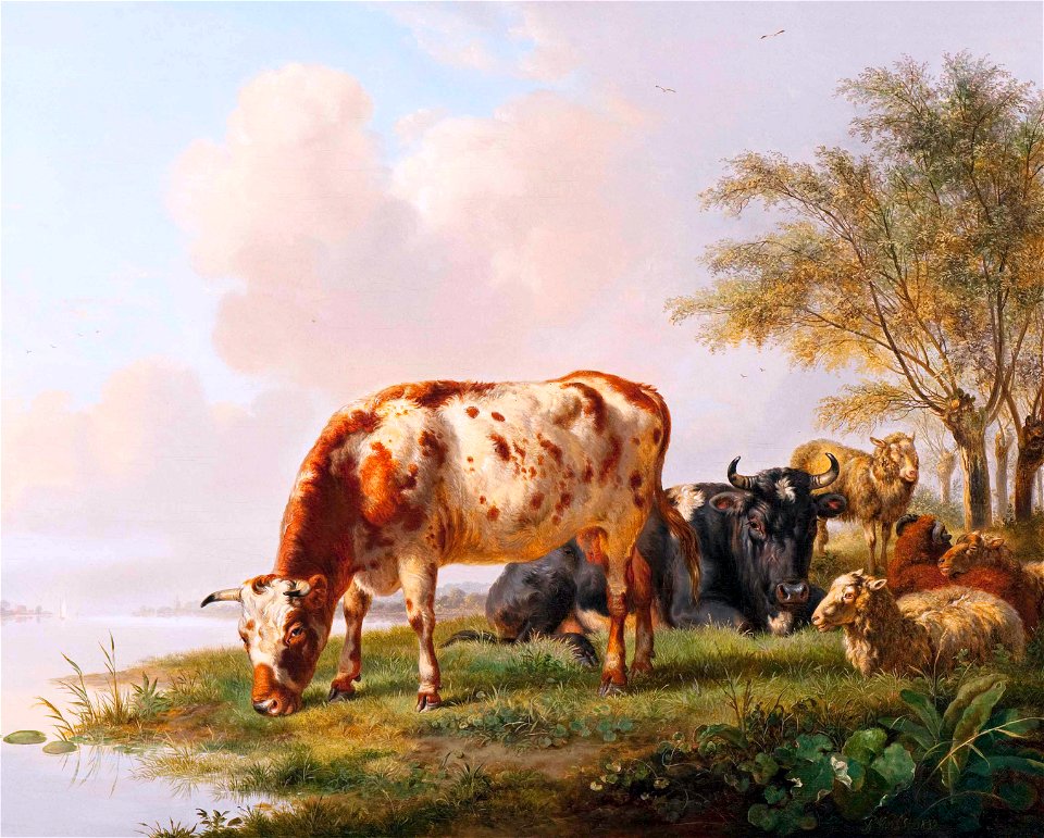 Cows and sheep at the river bank, by Pieter Gerardus van Os (Den Haag 1776 - 1839)