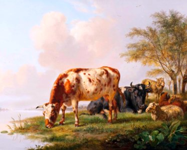 Cows and sheep at the river bank, by Pieter Gerardus van Os (Den Haag 1776 - 1839)