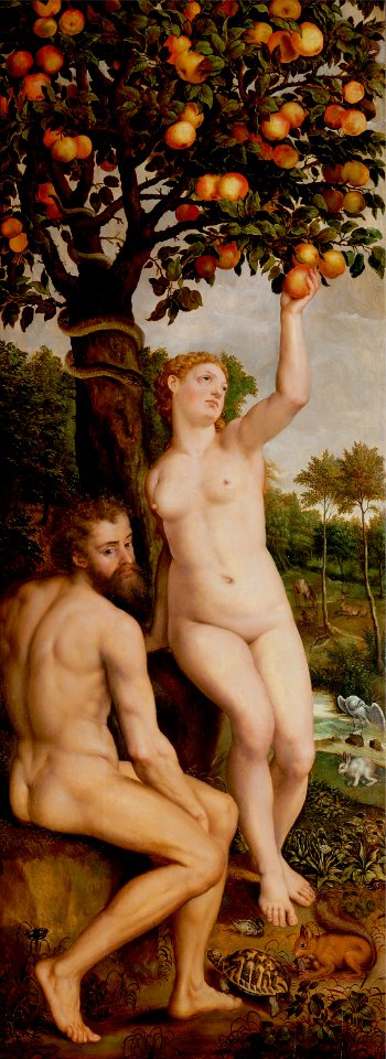 Original Sin Michel Coxcie
