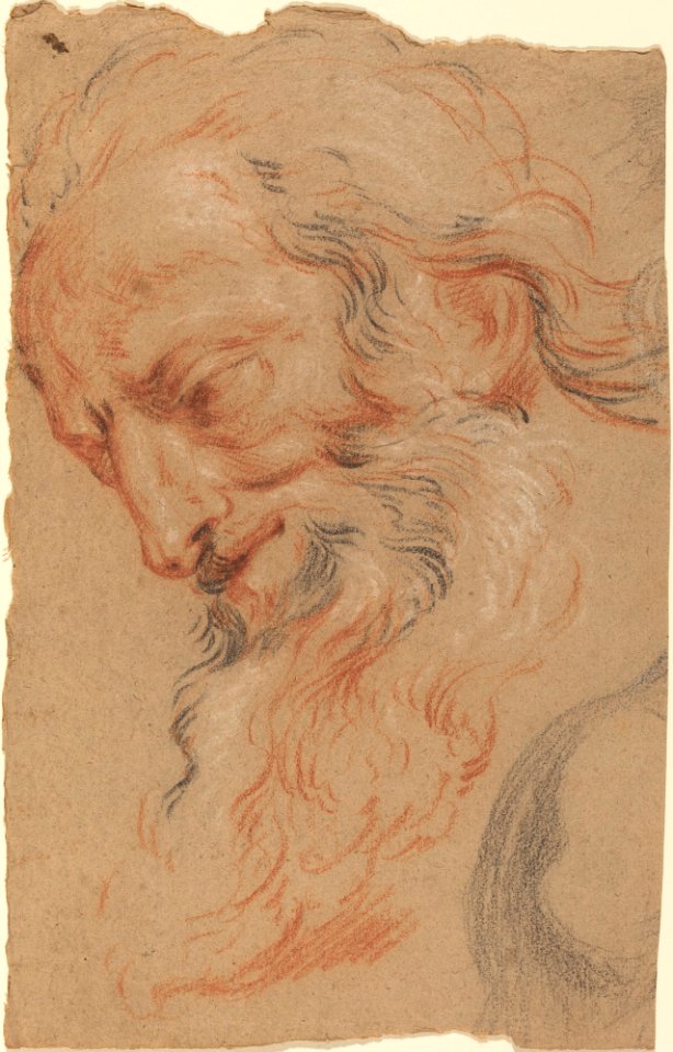 Antoine Coypel - Head of an old man