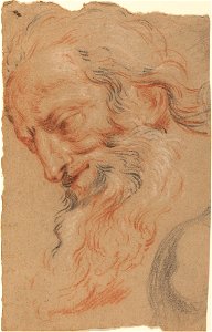 Antoine Coypel - Head of an old man