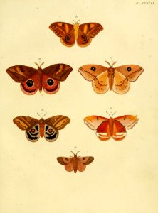 CramerAndStoll-uitlandsche kapellen vol. 3- pl 249