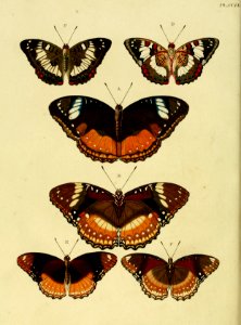 CramerAndStoll-uitlandsche kapellen vol. 3- pl 255