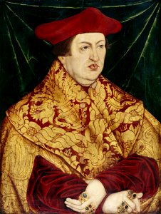 Cardinal Albrecht of Brandenburg (DE SPSG GKI10219)