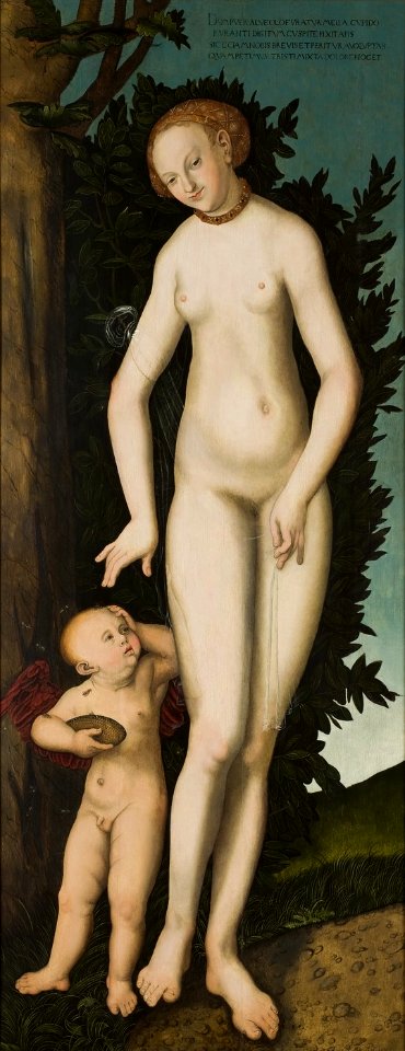 Lucas Cranach d.Ä. - Venus mit Cupido als Honigdieb (private Sammlung)