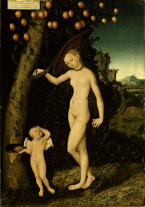 Lucas Cranach d.Ä. - Venus mit Amor als Honigdieb (Schloss Güstrow). Free illustration for personal and commercial use.
