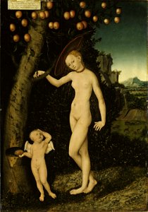 Lucas Cranach d.Ä. - Venus mit Amor als Honigdieb (Schloss Güstrow)