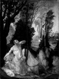 Jerome-cranach-vienna-infrared