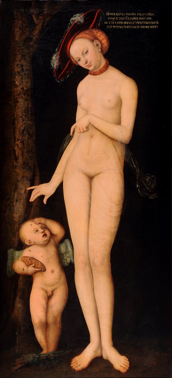 Lucas Cranach d. Ä. - Venus and Cupid - WGA05644