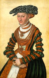 A Lady in a green velvet and orange dress and a pearl-embroidered black hat by Lucas Cranach II. Free illustration for personal and commercial use.