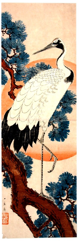 Crane in pine tree at sunrise (5759419006)