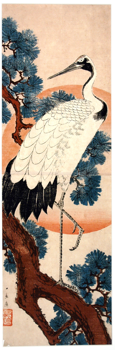 Crane in pine tree at sunrise (5759419006)