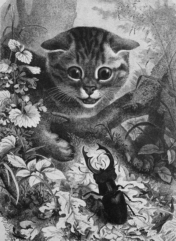 Die Gartenlaube (1878) b 327