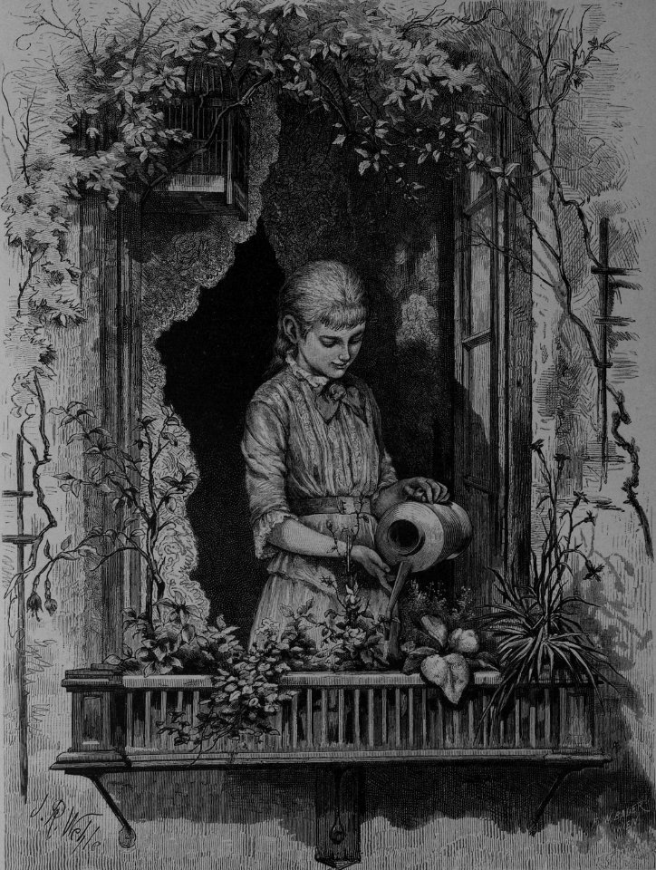 Die Gartenlaube (1882) b 301
