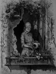 Die Gartenlaube (1882) b 301