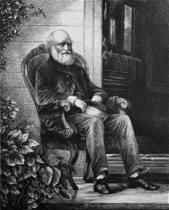 Die Gartenlaube (1878) b 541