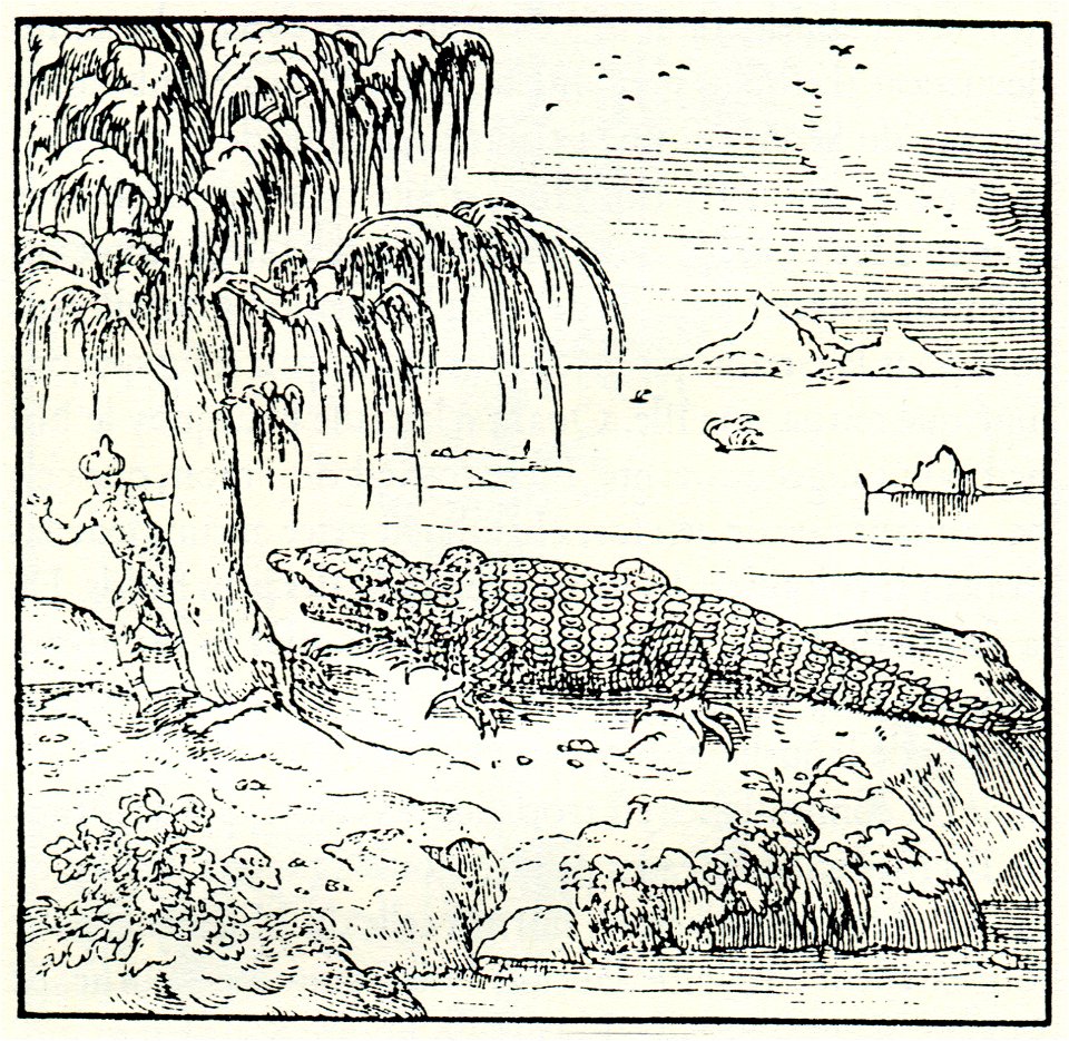 Crocodiles in Egypt - Thevet André - 1556