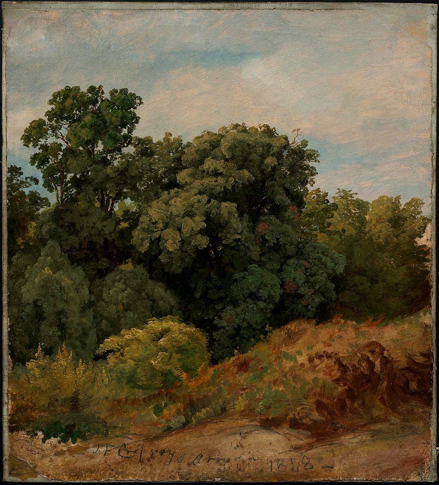 Jasper Francis Cropsey - Study of a Clump of Trees - 47.1246 - Museum of Fine Arts