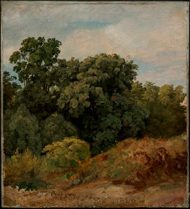 Jasper Francis Cropsey - Study of a Clump of Trees - 47.1246 - Museum of Fine Arts