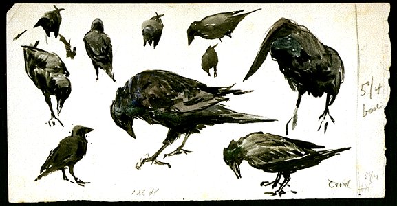 Crows RMG PU0605