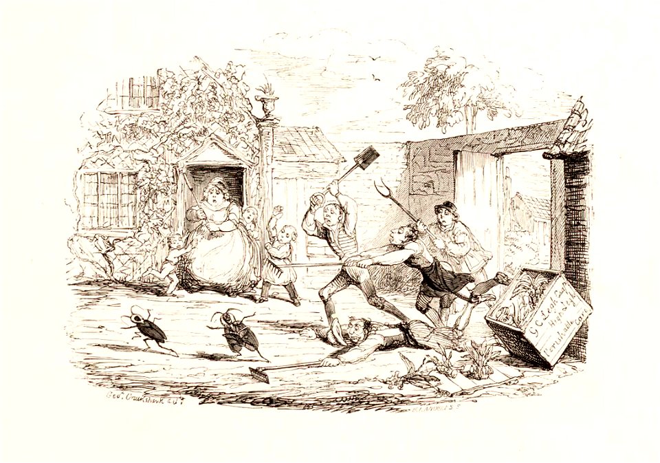 Vignette with tab. IX-Bateman Orch. Mex. Guat.(1843)-jpg