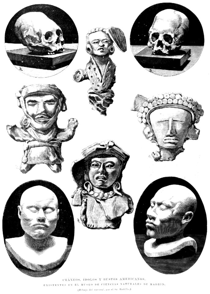 Cráneos, ídolos y bustos de indígenas