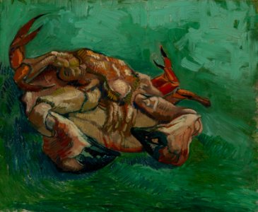 Crustacean, lying on his back by Vincent van Gogh (Van Gogh museum photogtaph). Free illustration for personal and commercial use.