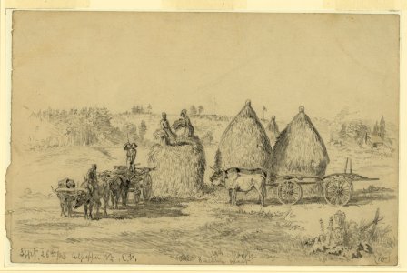 Culpepper (i.e., Culpeper), Va.-Stacking wheat - E.F. LCCN2004661851