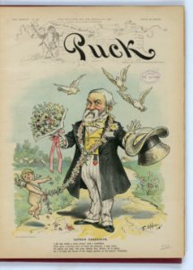 Cupid's candidate - F. Opper. LCCN2012648604