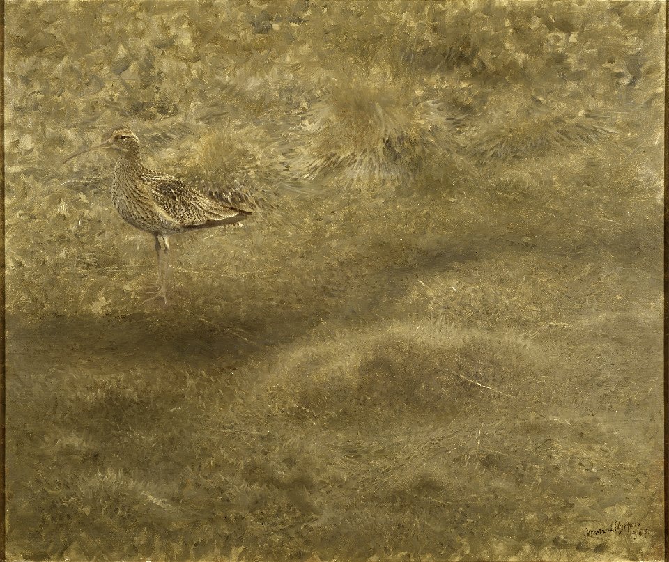 Curlew (Bruno Liljefors) - Nationalmuseum - 18660