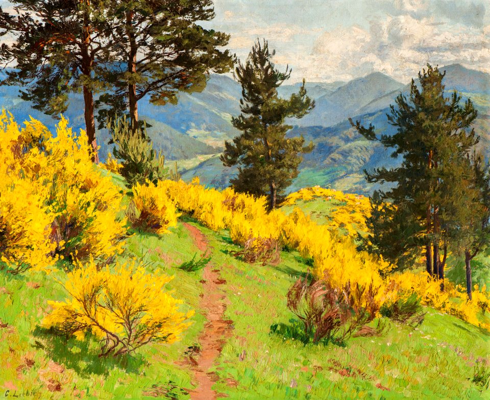 Curt Liebich Blühender Ginster 1919