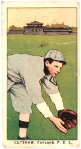 Cutshaw, Oakland Team, baseball card portrait LCCN2008677042