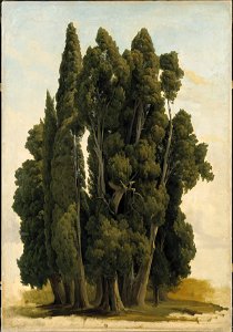 Cypresses. Study (Gustaf Wilhelm Palm) - Nationalmuseum - 19819