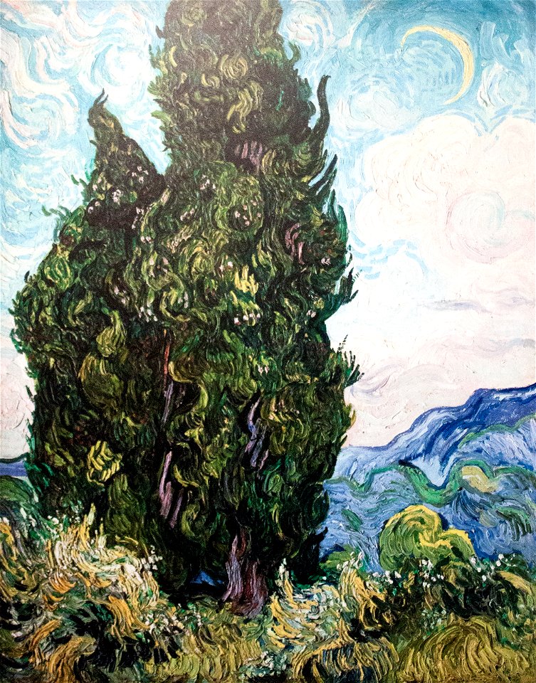 Cypresses (JH 1746) - My Dream