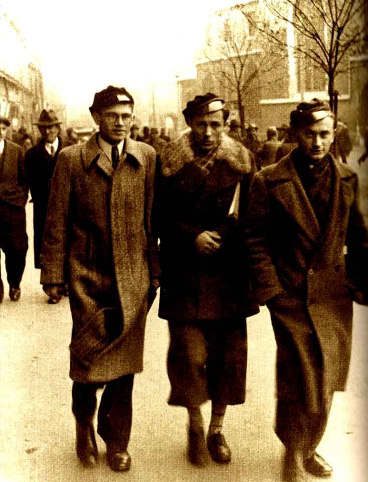 Czapkowcy