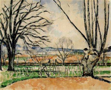 Cézanne - FWN 1047