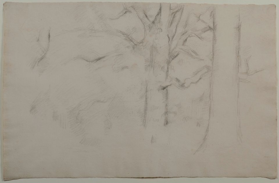 Cézanne - FWN 1137