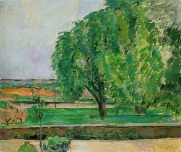 Cézanne - FWN 117