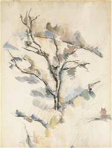 Cézanne - FWN 1192