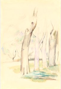 Cézanne - FWN 1090