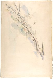 Cézanne - FWN 1222