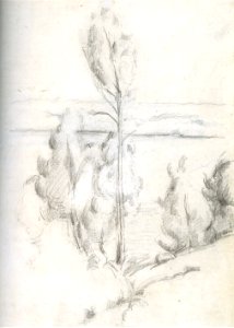 Cézanne - FWN 1105