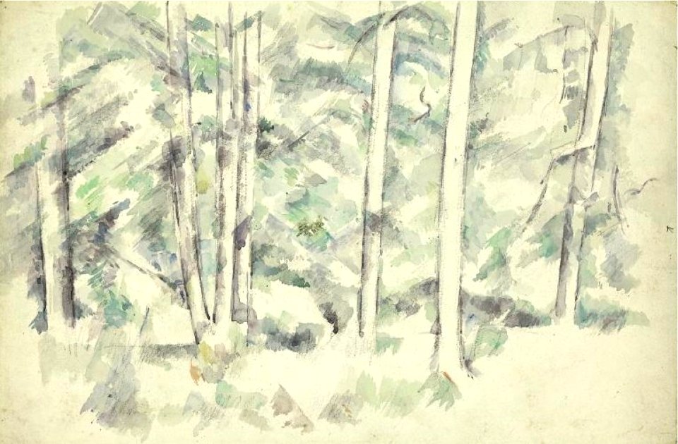 Cézanne - FWN 1283